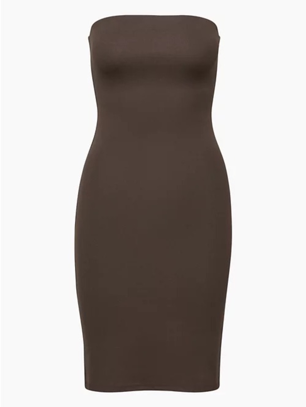 Aritzia Ten by Babaton Vision Dress